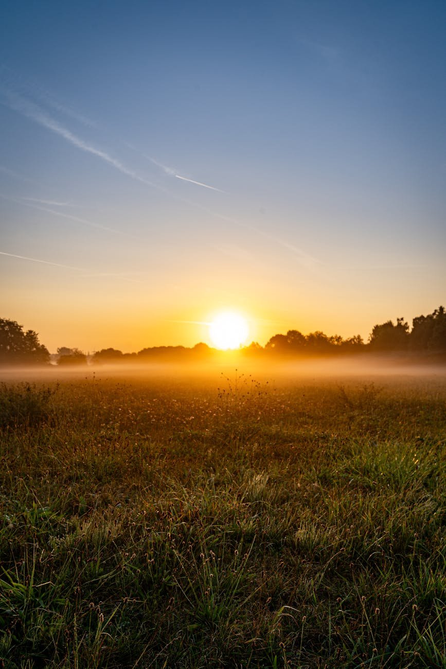 beautiful sunrise over misty meadow